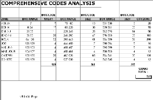 Comprehensive codes analysis report (Format 2)